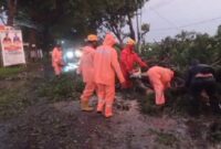 Sebuah kendaraan roda empat menjadi korban amukan cuaca ekstrim yang terjadi di Kabupaten Magetan, Jawa Timur