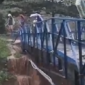 Tim gabungan melakukan evakuasi dan monitoring di lokasi terdampak banjir Kabupaten Karawang. (Dok. BPBD Karawang)